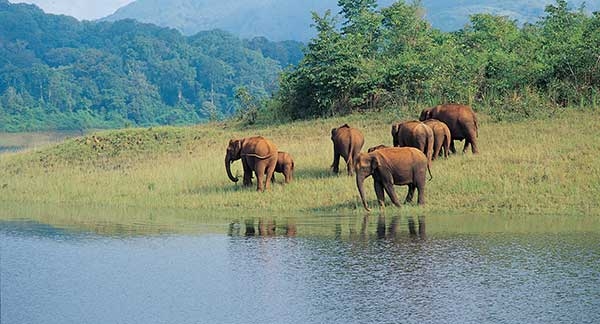 Kerala - Relax and Ayurveda tour package